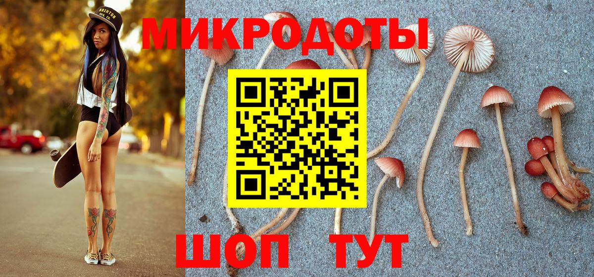 Электросталь  Галлюциногенные грибы прущие грибы  Вход с VPN 