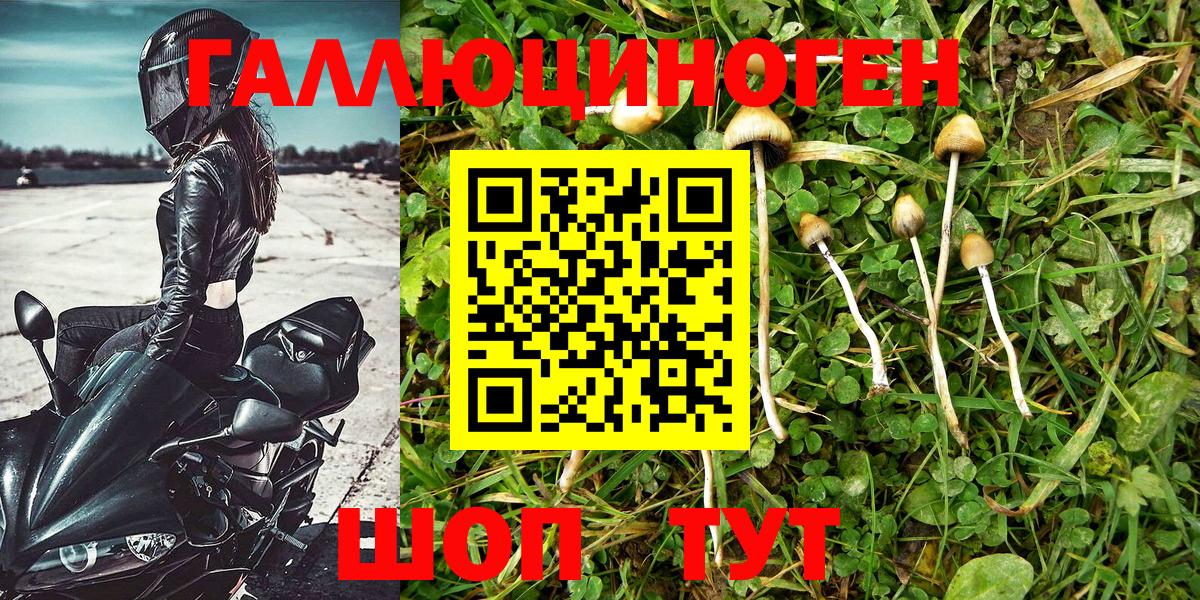 Псилоцибиновые грибы ЛСД Электросталь